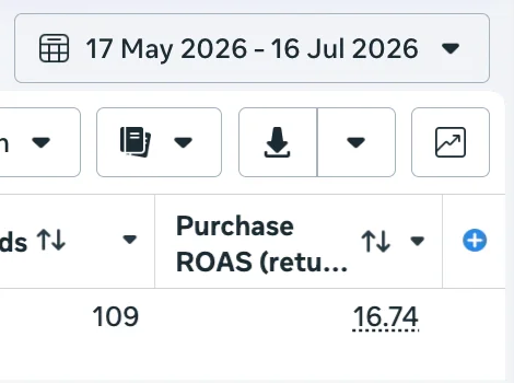 Meta dynamic catalogue ads